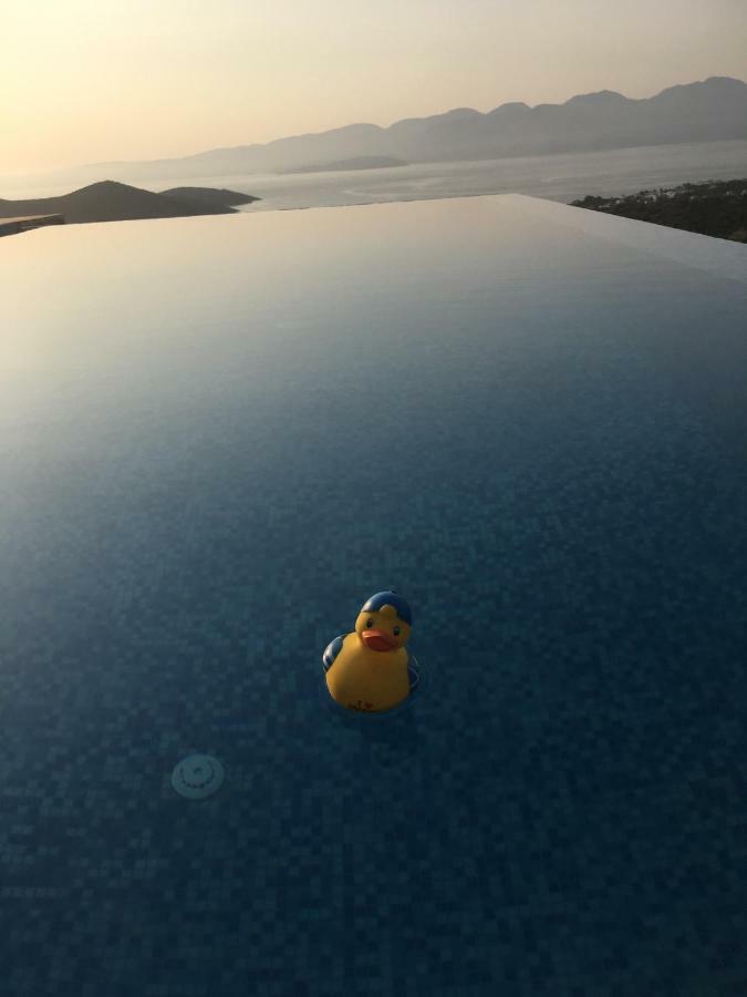 Villa Estee, Luxury Villa With Private Infinity Pool And Jacuzzi 伊罗达 外观 照片